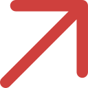 Euro Icon