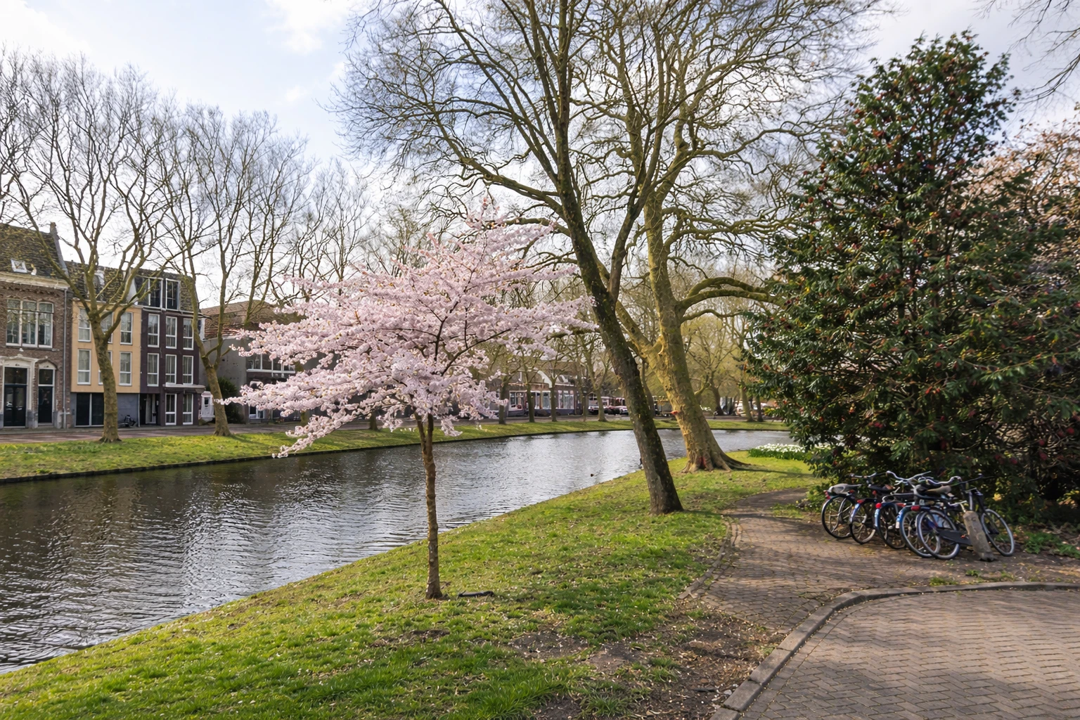 Makelaar in Purmerend Centrum