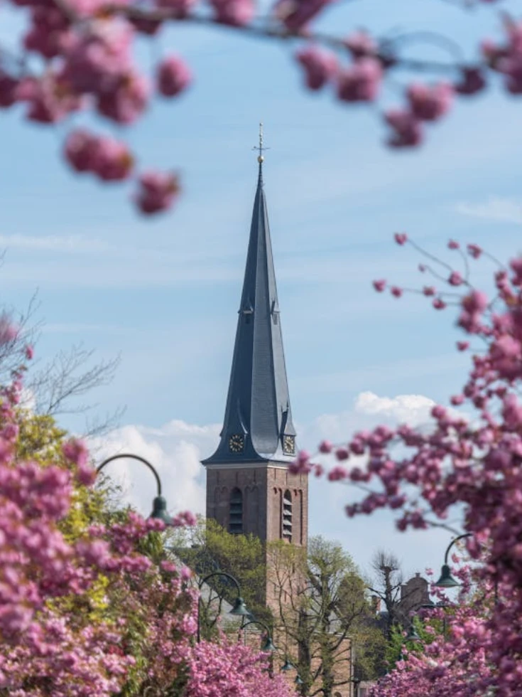 Wonen in Voorburg