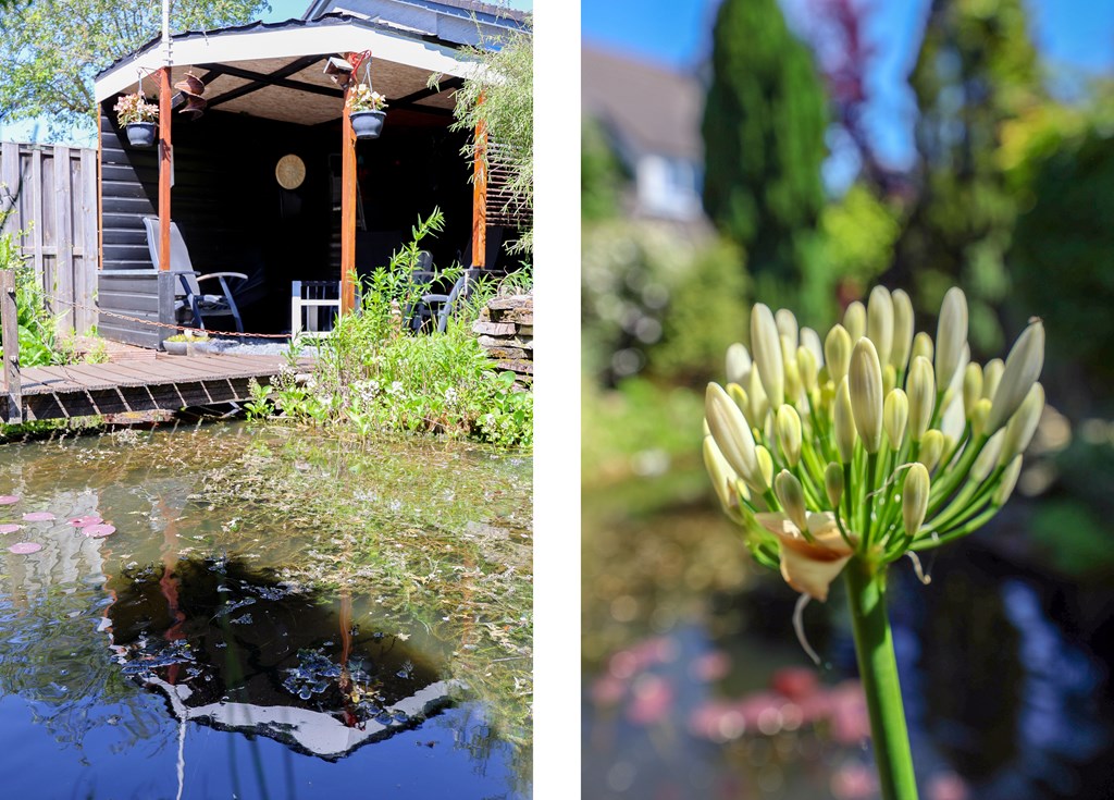 Lelystad – Galjoen 19 14 – Photo 49