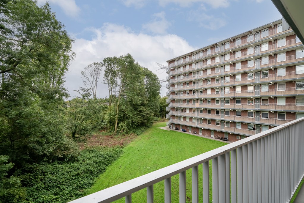 Zaandam – Fluitekruidweg 189 – Photo 11