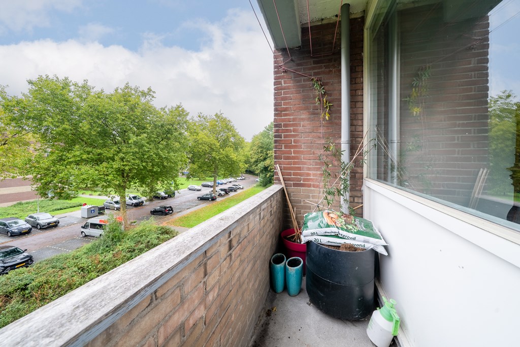 Zaandam – Fluitekruidweg 189 – Photo 50