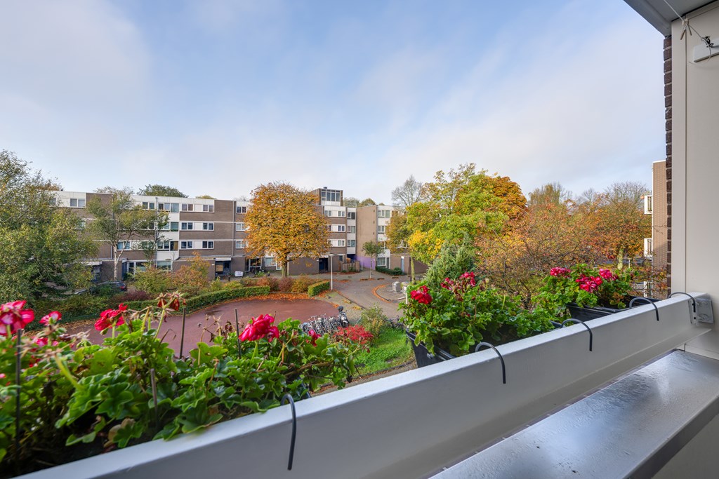 Amsterdam – Millingenhof 284 – Photo 26