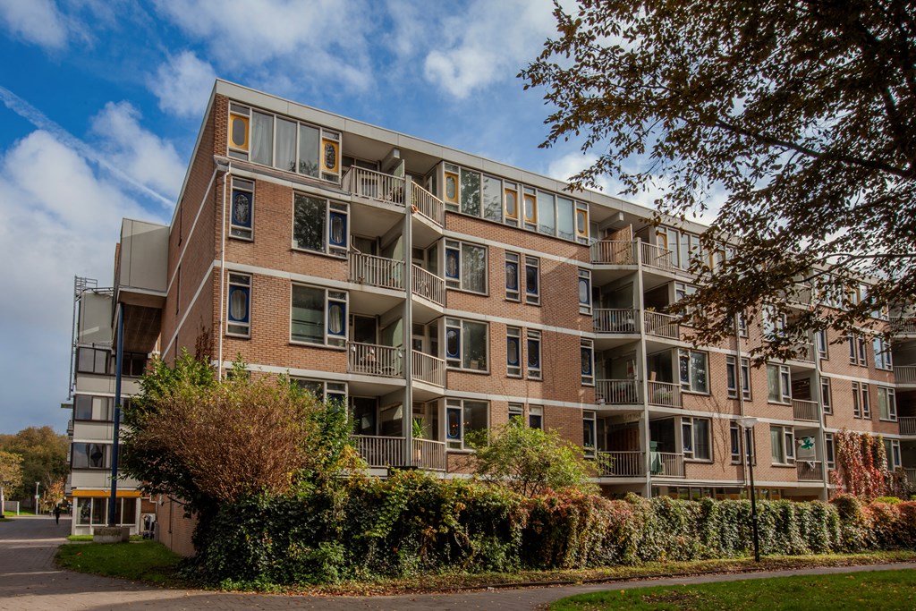 Amsterdam – Haardstee 220 – Photo 5