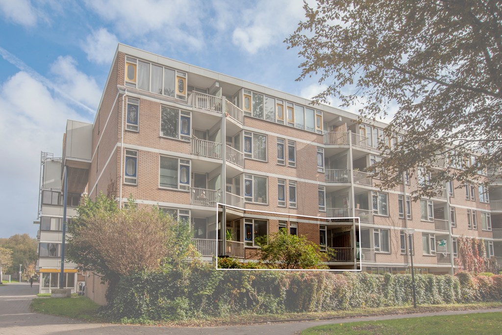 Amsterdam – Haardstee 220 – Photo 4