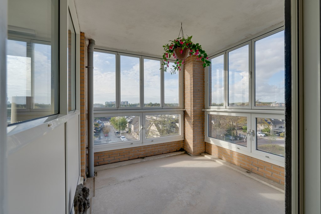 Diemen – Hermelijnvlinder 147 – Photo 25