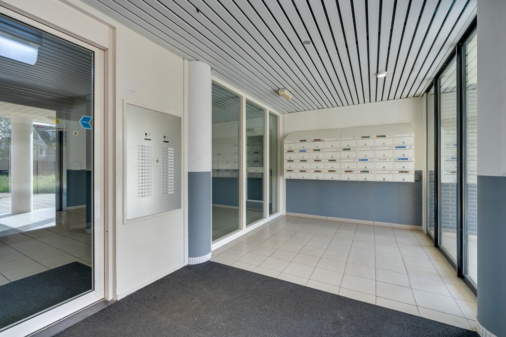 Diemen – Hermelijnvlinder 147 – Photo 45