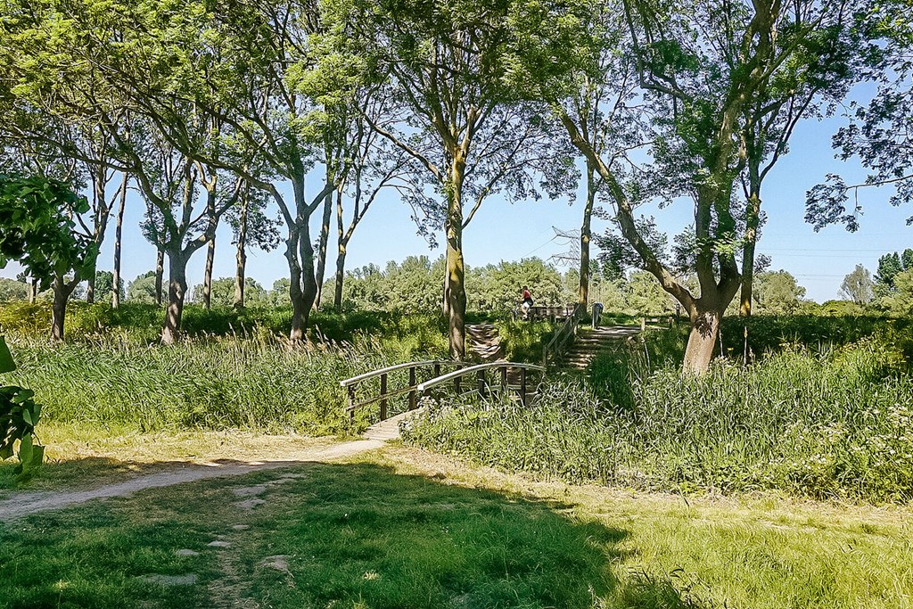 Diemen – Hermelijnvlinder 147 – Photo 49