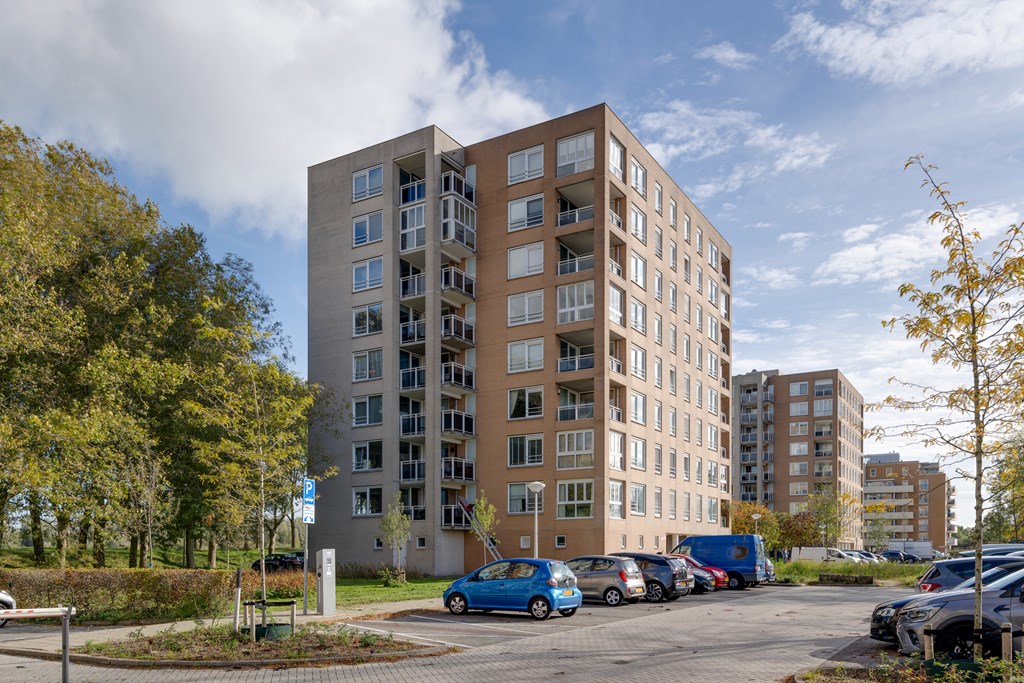 Diemen – Hermelijnvlinder 147 – Photo 4