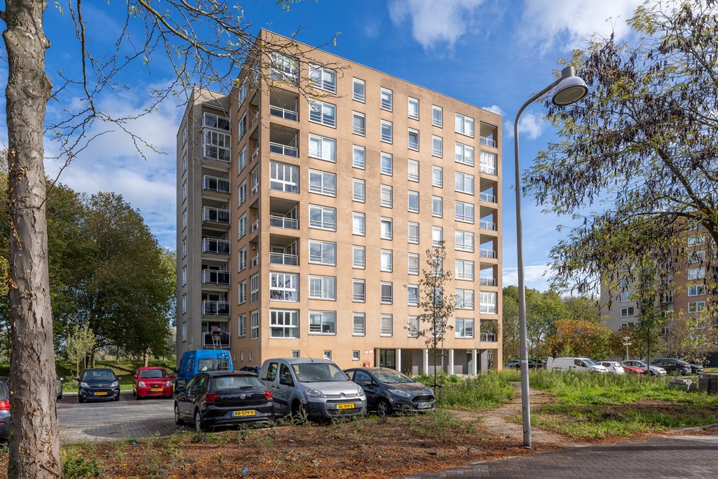 Diemen – Hermelijnvlinder 147 – Photo 44