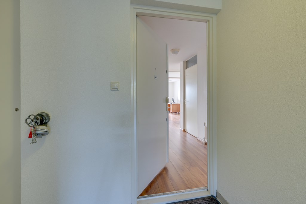 Diemen – Hermelijnvlinder 147 – Photo 7