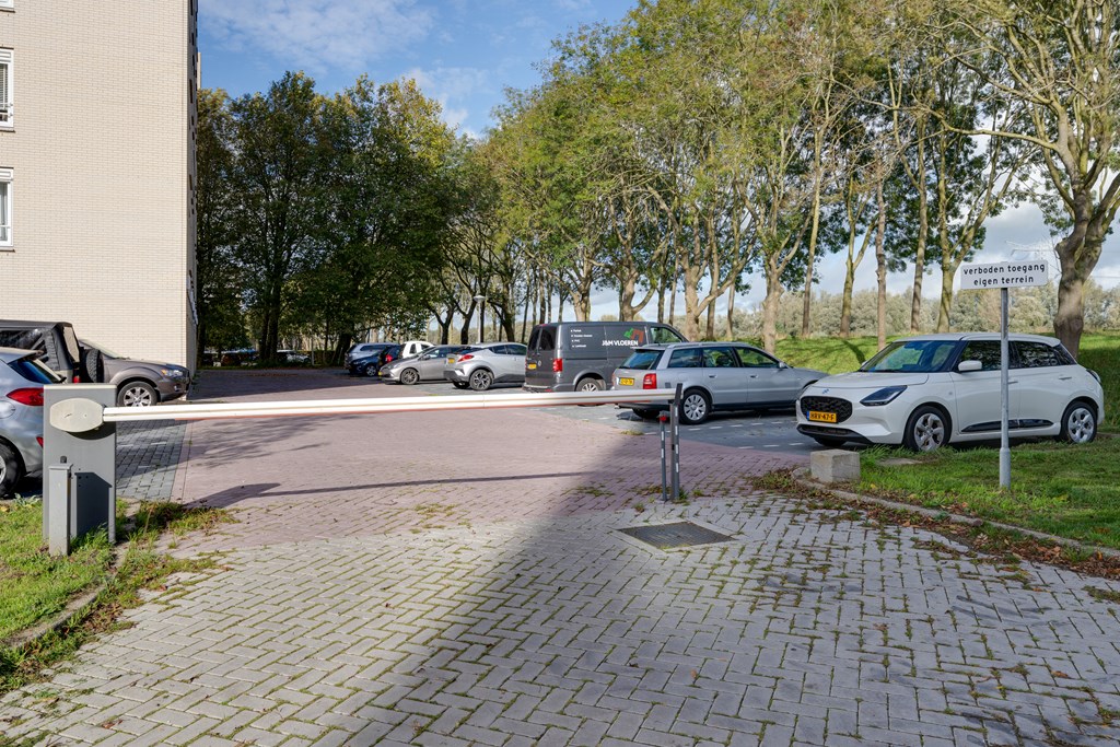 Diemen – Hermelijnvlinder 147 – Photo 48