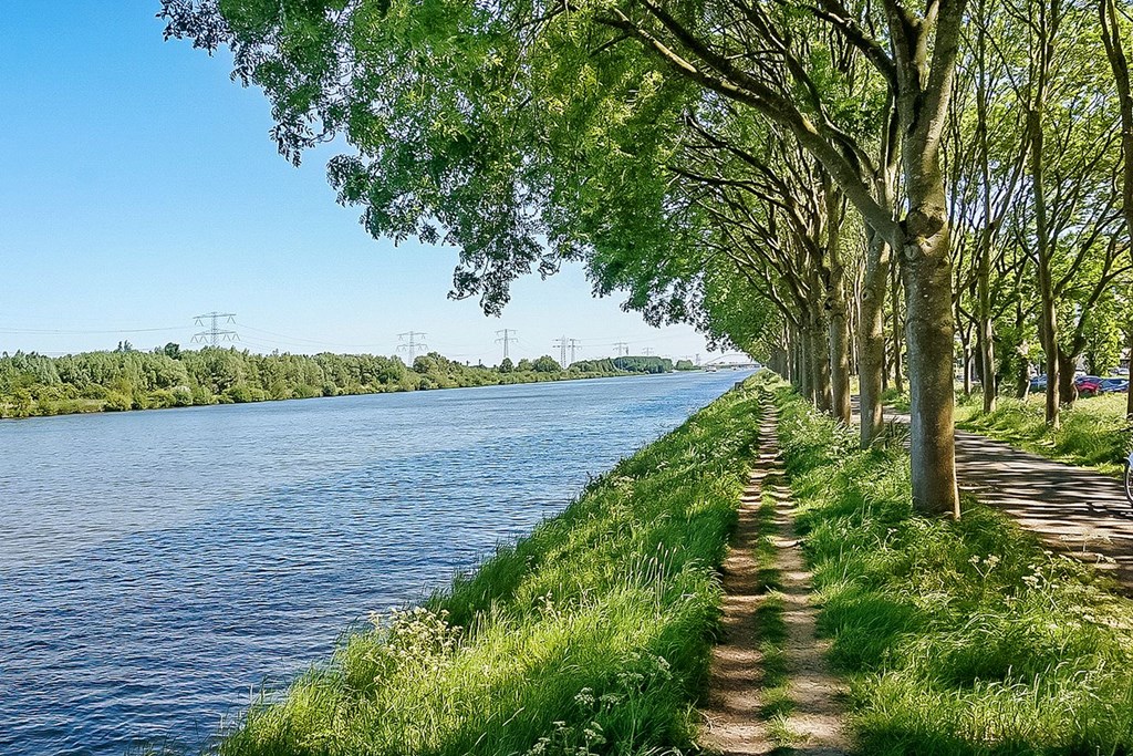 Diemen – Hermelijnvlinder 147 – Photo 50