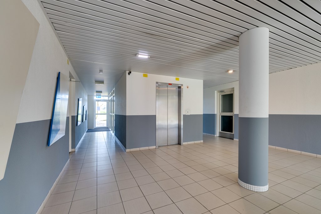 Diemen – Hermelijnvlinder 147 – Photo 46