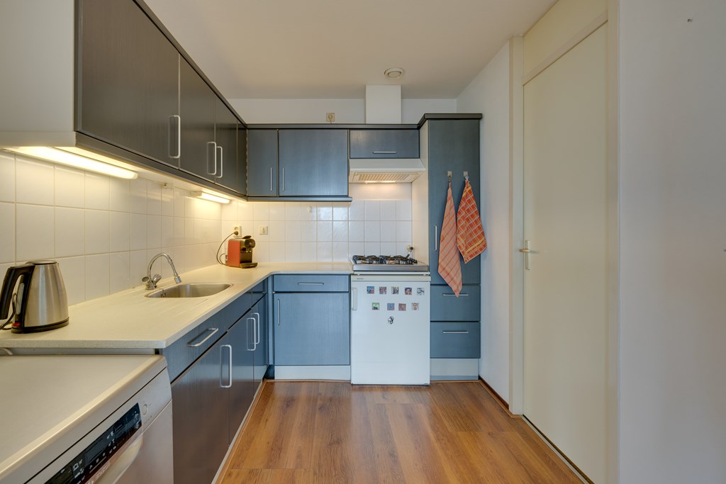 Diemen – Hermelijnvlinder 147 – Photo 3