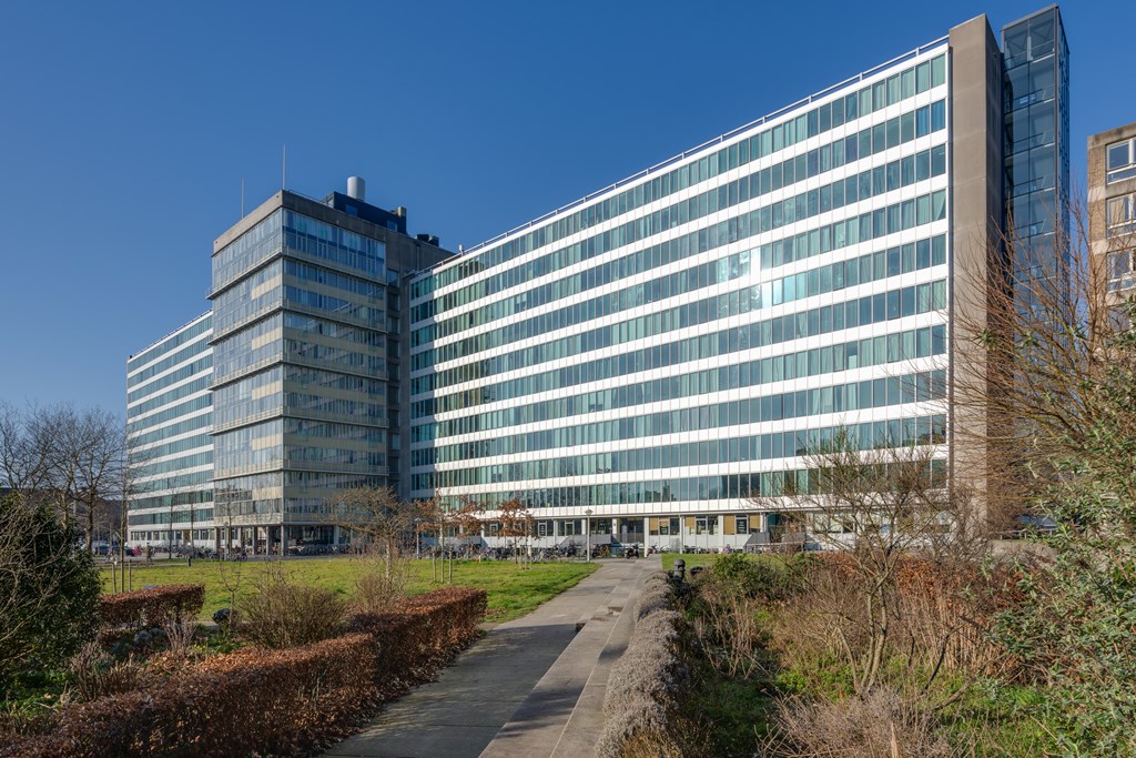 Amsterdam – Bos en Lommerplantsoen 43-D – Photo 32