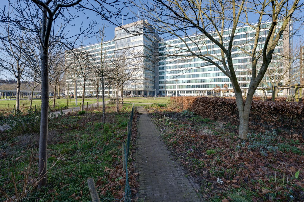 Amsterdam – Bos en Lommerplantsoen 43-D – Photo 33