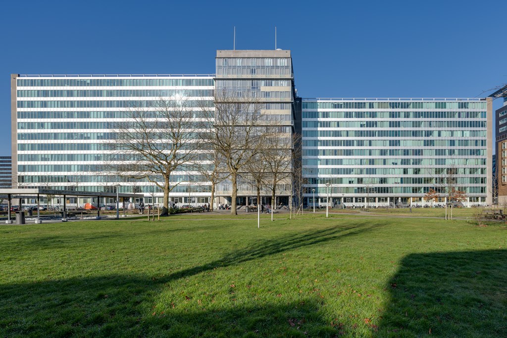 Amsterdam – Bos en Lommerplantsoen 43-D – Photo 5