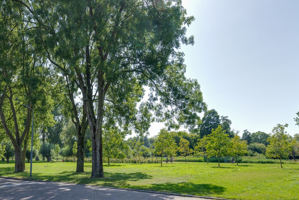 Zaandam – Dodonaeuslaan 317 – Photo 63